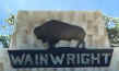 wainwright-logo.jpg (15271 bytes)